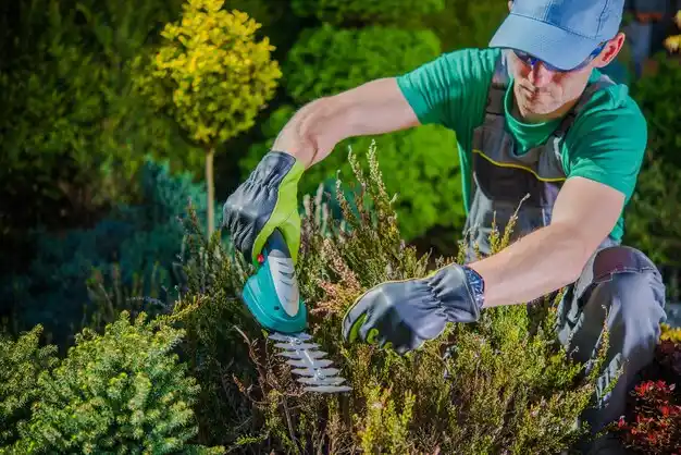 landscaping services Hayti